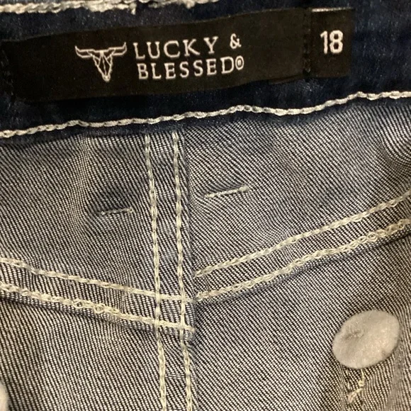 Lucky & Blessed Western Chic Embroidered Tea Stain Jeans size 18 Boho Western - Picture 13 of 16